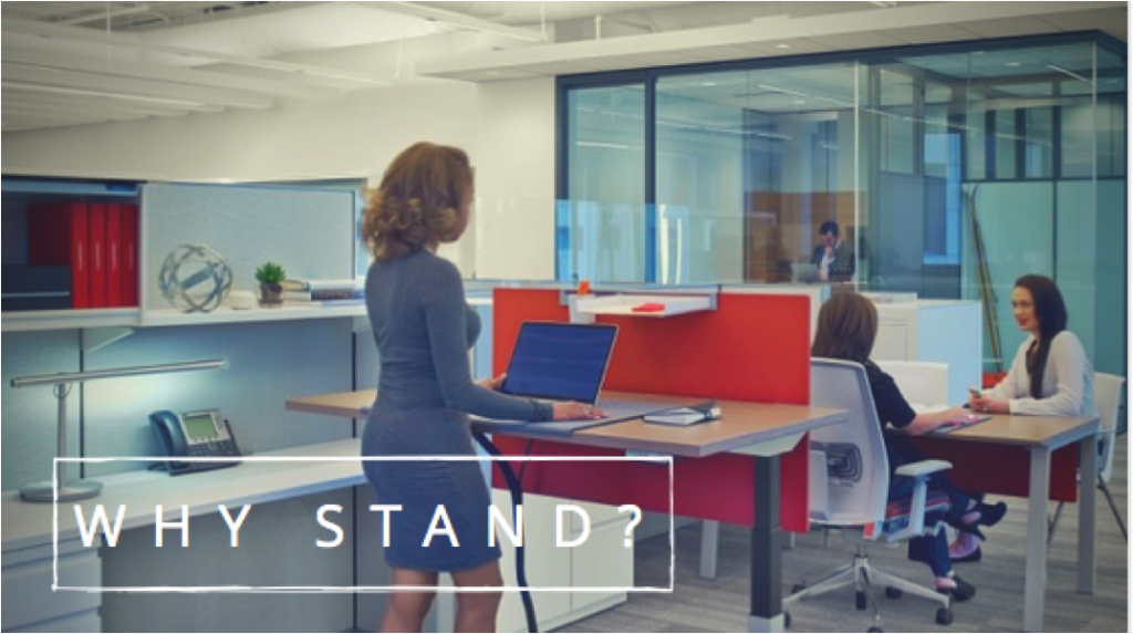 stand up desks